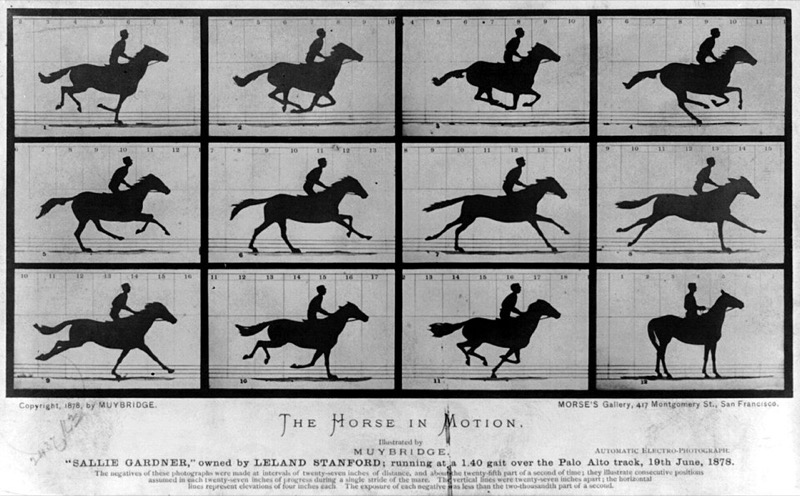 Twelve sequential photographs of a jockey on a galloping horse, in a grid of silhouettes against lined backgrounds.