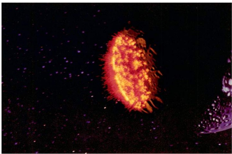 A figure from Reeves&rsquo;s 1983 particle-systems paper: a wall of fire spreading over a planet.